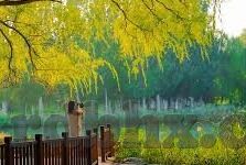 91白丝袜美女JK麻豆-91白丝袜与JK麻豆，探索青春的时尚印记