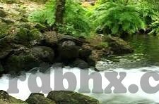 麻豆app手机下载-探寻麻豆APP——手机端的创意娱乐新选择