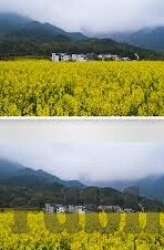 麻豆app在线播放-闪耀视觉盛宴，畅享麻豆APP的在线奇妙之旅