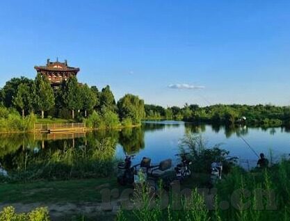 麻豆文化传媒有限公司-麻豆文化传媒，中国新媒体的独特视角与影响力提案