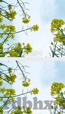 日韩欧美在线一区二区-全球娱乐新视界，日韩欧美在线一区二区的多元文化交融