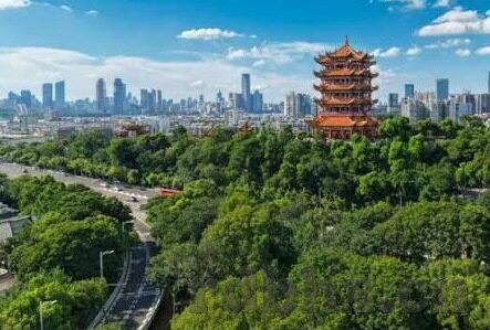 糖心app官网下载9V6-5G时代智慧生活新伴侣，糖心app的安心使用指南