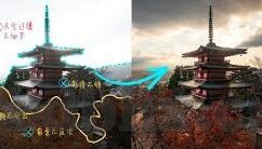 下载大象传媒客户端-下载大象传媒客户端，解锁数字娱乐新体验